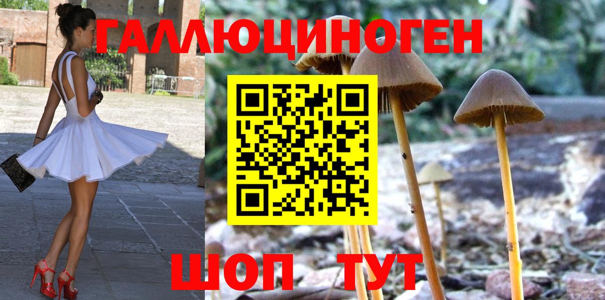 Галлюциногенные грибы мухоморы  Вход с VPN  Орск 